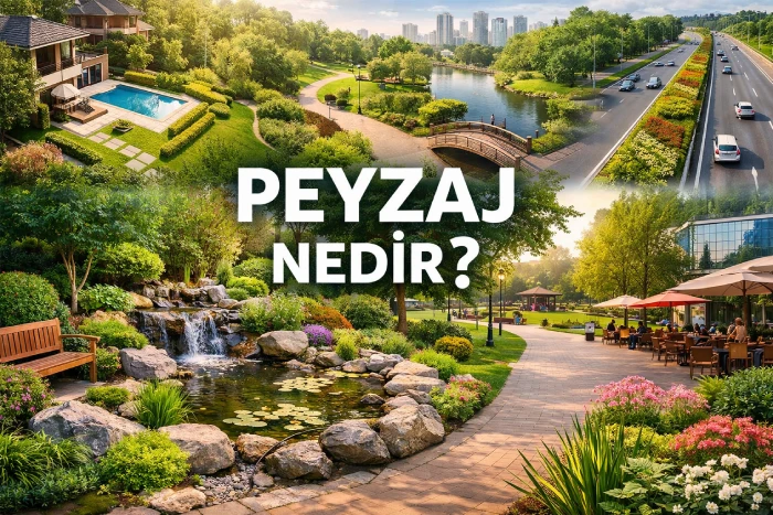 peyzaj nedir